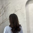 블레스헤어 - 대덕구 | 블레스헤어