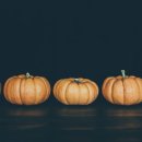 시간속의 추억 이미지