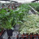 하일농장 이미지