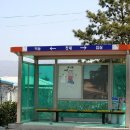 냉천 지초 이미지