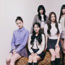 코코리사 이미지