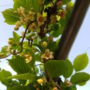 화선농장 이미지