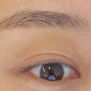 탄선생 | 인천 속눈썸펌 잘하는곳, 인하대 듀얼펌 후기 로미앤블룸
