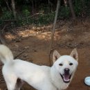 화성농장 이미지