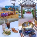 성하농장 | 전남 곡성 여행 코스 가볼만한곳 국내여행 계획 카페 테라엔 4곳