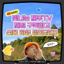 제주TV