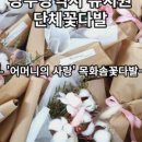 비아초교병설유치원 이미지