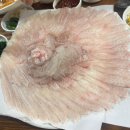 충무동골목시장 | "개림횟집" 부산 자갈치시장 로컬 맛집에서 만난 이시가리 회의 매력