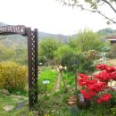 먼당농장 이미지