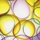 현대의료기사 이미지