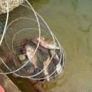 사계절레저 이미지