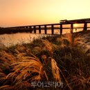 만경강길 7코스 이미지