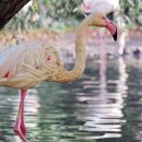 송향로 | 송림동 휘트니스 송림휘트니스센타 추천픽