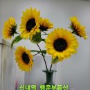 테라스행운부동산중개 이미지