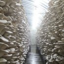 대왕농장1 이미지