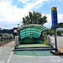 월평제1경로당_1 Daum카페