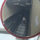 청강한의원 | 나가라 뚜껑 열린다