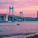 뉴시즈 센텀 호텔 이미지