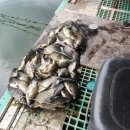 방아실낚시터 이미지