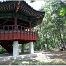 동백 죽전대로3-2 Daum카페