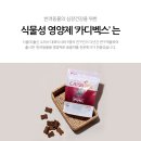 벡스퍼트 - 용인시 수지구 광교중앙로 338 | (DOG/CAT)카디벡스 심장건강을 위한 식물성 영양제