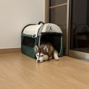 싼타소프트 이미지