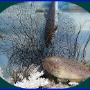 덕소자연사박물관 이미지