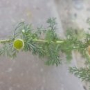 계양경기장 이미지