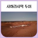 알리투어 | 사하라사막 투어 (모로코 알리네)