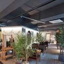 라떼플로라 이미지