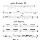 Am Key Trot Scale 응용연습 이미지