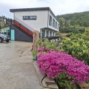 ok펜션 | [ 청산도펜션 추천 ] 부모님과 함께한 완도 여행💝 청산도ok펜션 후기