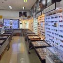 독일안경원 | 종각역공안과안경원 두잉안경광화문점 후기