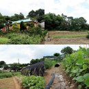 모시밭 민박 이미지