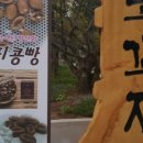 모꼬지쉼터