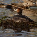에덴복지요양센터 이미지