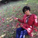 제주에산다면 이미지