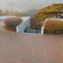 프로스카이 짐 이미지