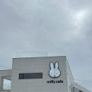 나들스토어 | 후기 : 거제 미피스토어에서 몽돌 미피 구매 완