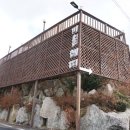 비올레띠 이미지