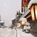 자연나라 이미지