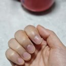 (행정용)다이소 앞(우) | 우아넬 손톱발톱 영양제 추천 - 다이소 손톱영양제에서 갈아탄 이유