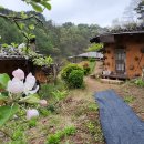 가고픈흙집 이미지