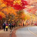 해성여행그룹협동조합