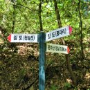 부안임씨 쌍효 정려 | 2021.10.13. [충남山行記 172] 세종 전동 운주산