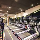 투엑스 (2X) 이미지