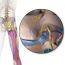 예천경희한의원 이미지