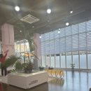 전주애견유치원 몽카롱 이미지