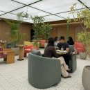 프레시영도 | 올리브영N 성수 올리브 멤버스 라운지 후기 (골드 등급 혜택, 입장 방법, 위치, 메뉴)