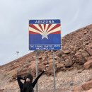 벨라지오 | 라스베가스 여행 코스 추천 후기 벨라지오 분수쇼 시간 베네시안 호텔 투어 미국 기념품 선물